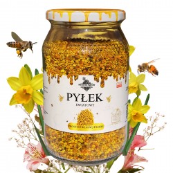 Pyłek Pszczeli 500g