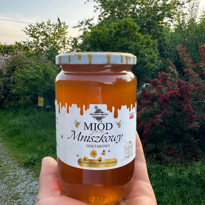 Miód Mniszkowy 1KG ŚWIEŻY ZBIÓR 2025