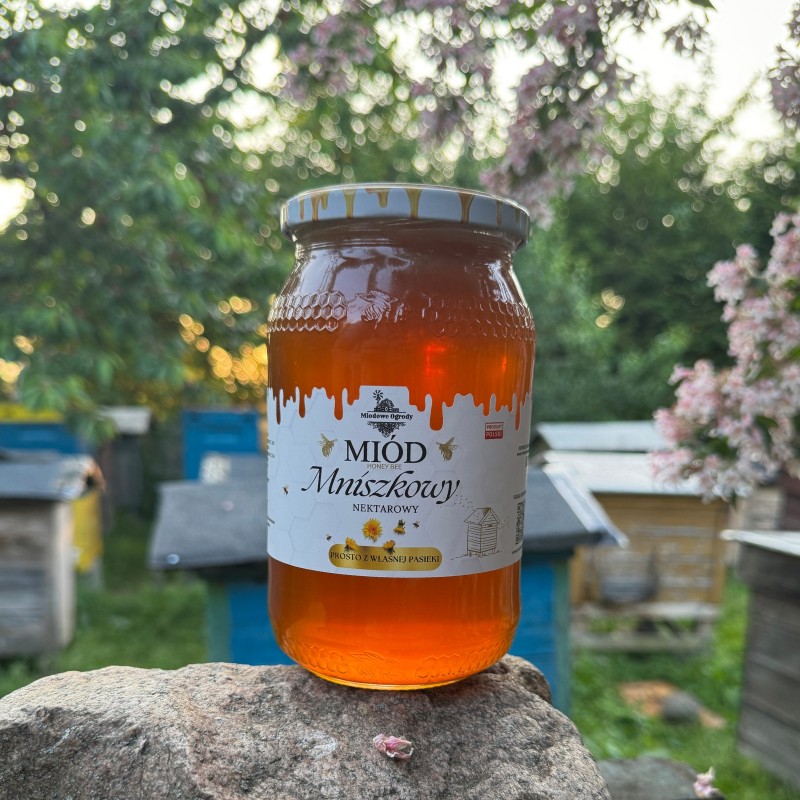 Miód Mniszkowy 1.2 KG ŚWIEŻY ZBIÓR 2025