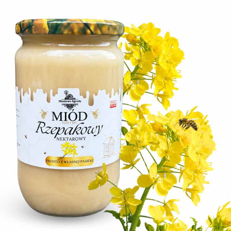 Miód Rzepakowy 1KG Świeży Zbiór 2025r.