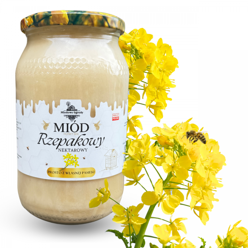 Miód Rzepakowy 1.2 KG Świeży Zbiór