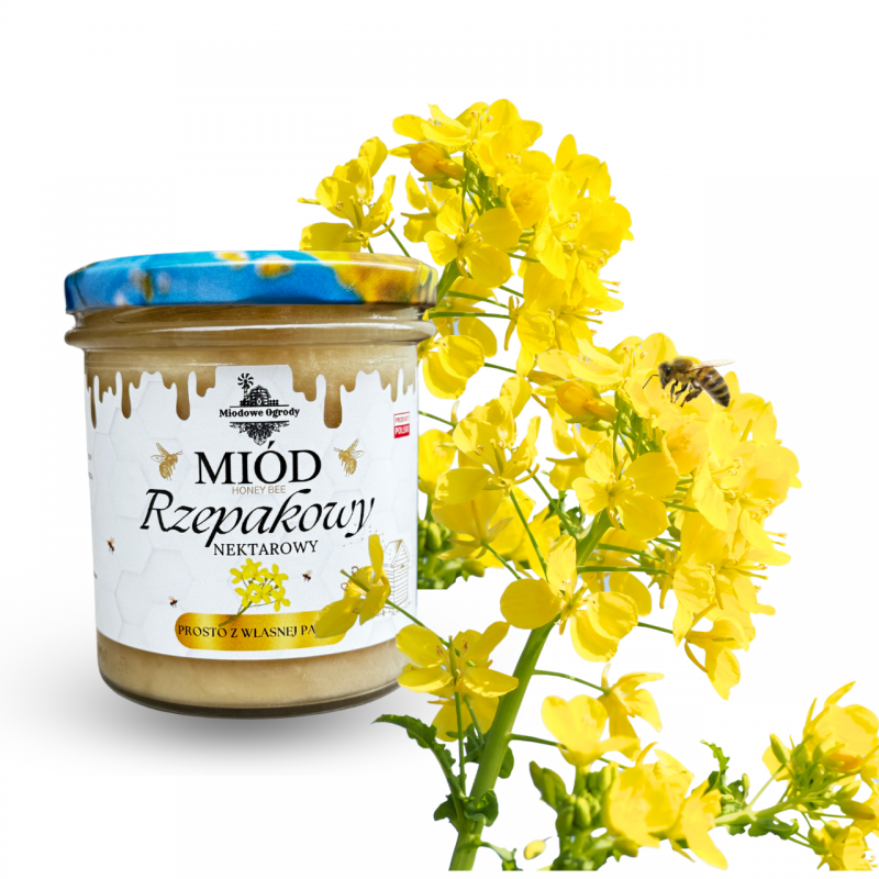 Miód Rzepakowy 400g Świeży Zbiór 2025r