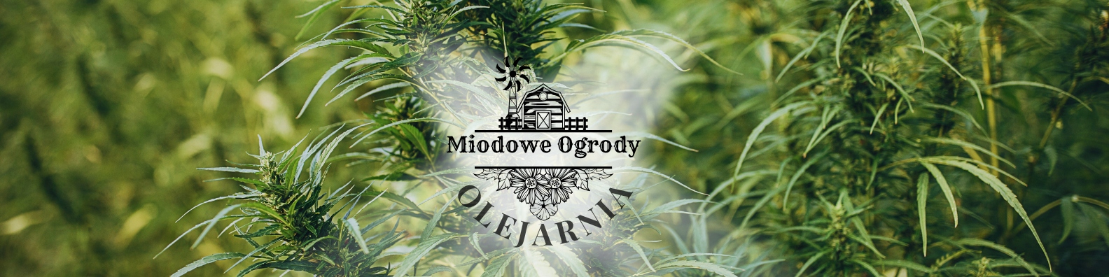 2b3ddc2a6ca63fd0a625542170fb2e69.jpg 367d736bf508efae443b023bd7023062