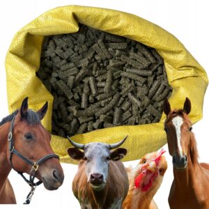 d36df331c05ce55d8d0e4b6546b47ef7