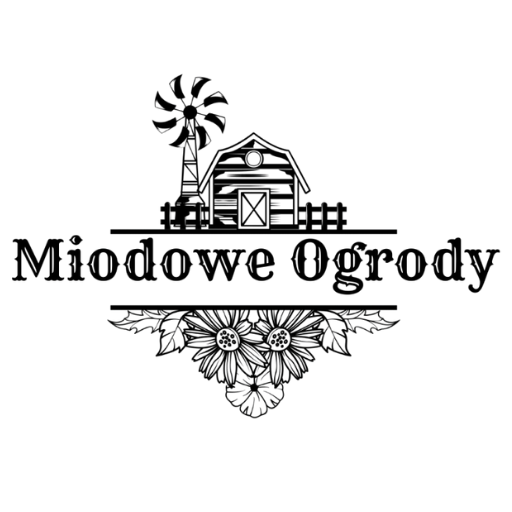 projekt bez nazwy 2026 02 17t165240.469