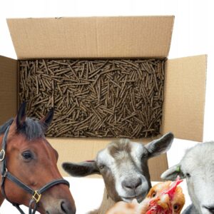 4b907b463f5fc9ee31c7f5ec37a90c91