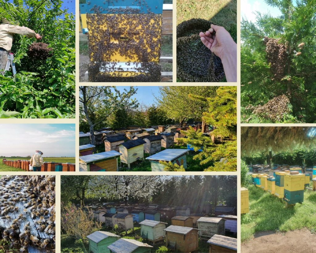 6ac5d8f0cdabaac7394041f6e1c08a71