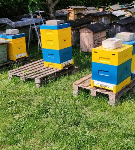 937e5fd09209068e100d5371ad2cb562