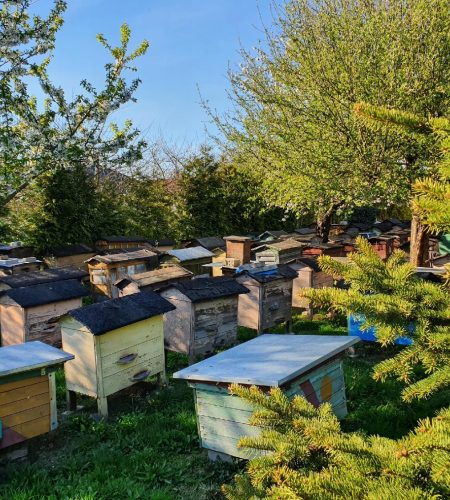 58cd63004e3b0dfbb77b97ca96184cdc