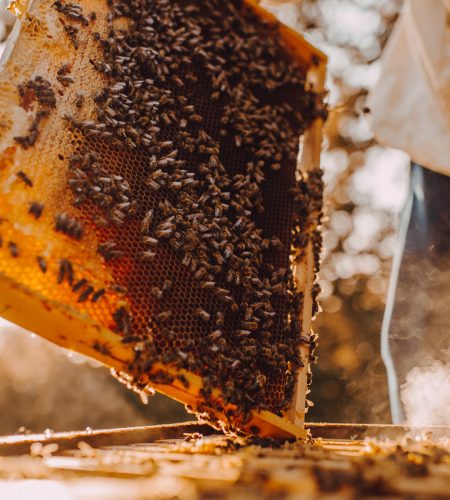 187c489493675f5c9b76d5899822dd5f